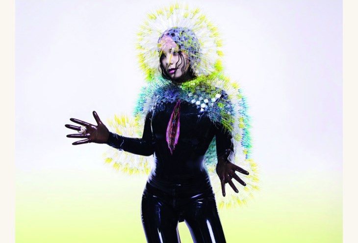 Artwork από το νέο άλμπουμ της Bjork με τίτλο Vulnicura.